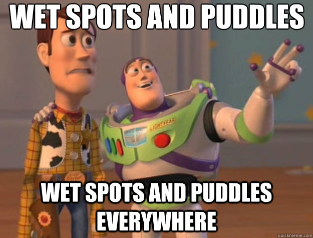 Wet Spots