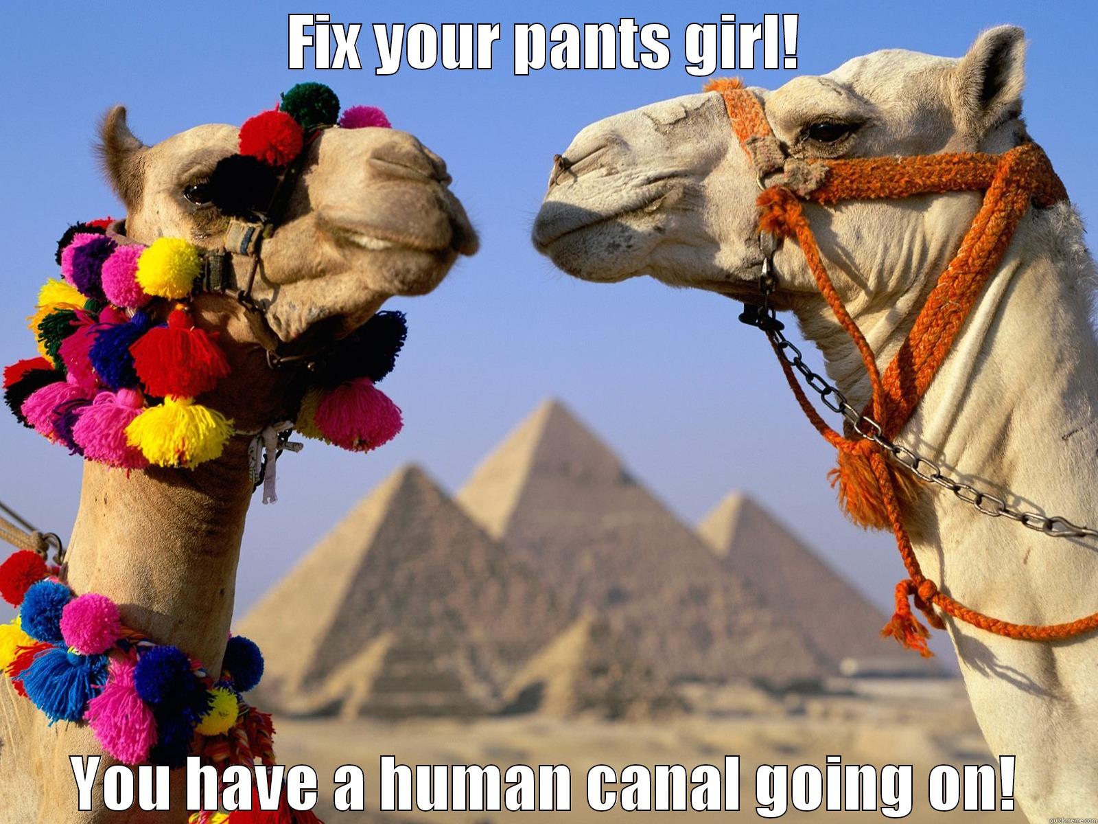 Camel toe - quickmeme
