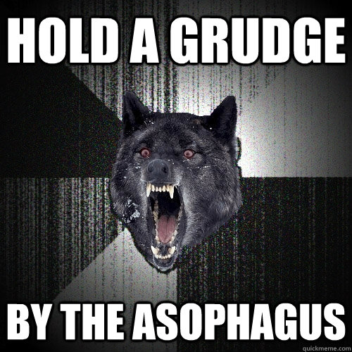 hold a grudge by the asophagus - Insanity Wolf - quickmeme