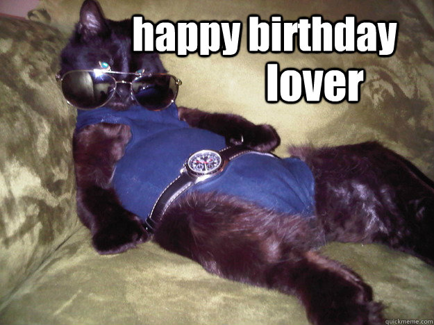 happy birthday lover - sexy cat - quickmeme