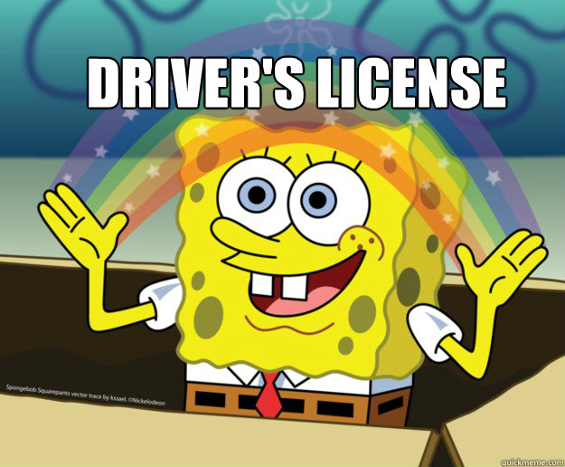 Driver S License Spongebob Imagination Quickmeme
