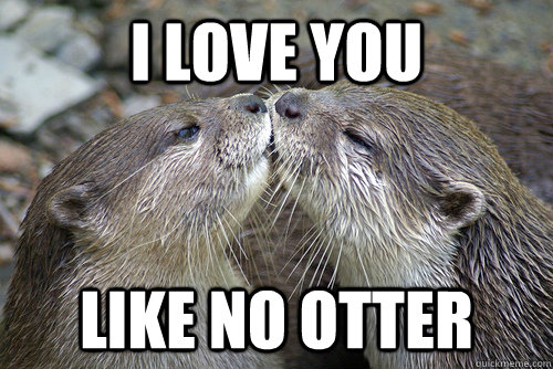 I love you like no otter - I Love You Like No Otter - quickmeme