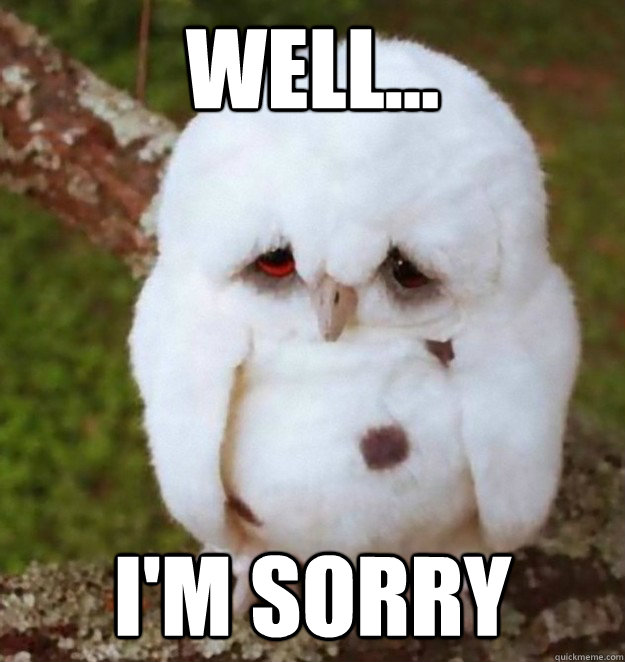 well... I'm Sorry - No Sleep Heres Sad Owl - quickmeme