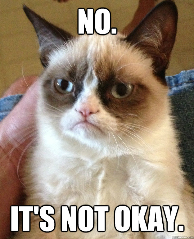 No. It's not okay. - Grumpy Cat - quickmeme