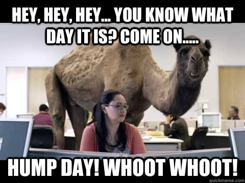Hey Hey Hey You Know What Day It Is Come On Hump Day Whoot Whoot Hump Day Camel Quickmeme