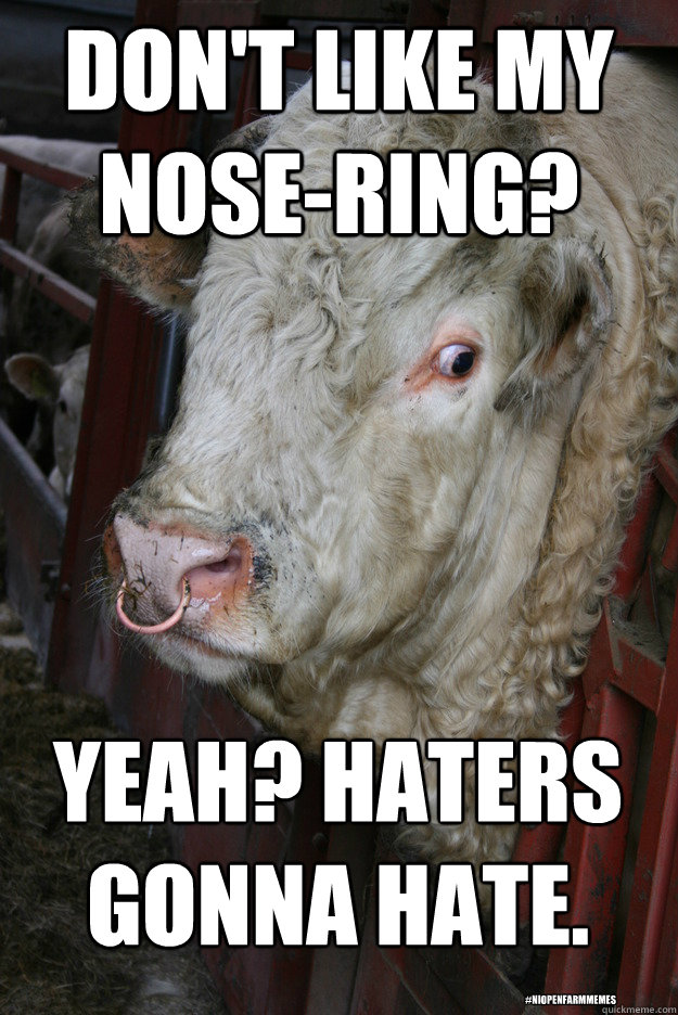 don't like my nose-ring? Yeah? Haters gonna hate. #niOpenFarmMemes -  niOpenFarmMemes - quickmeme