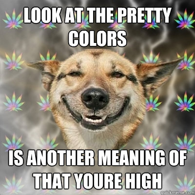 look at the pretty colors is another meaning of that youre high - Stoner  Dog - quickmeme