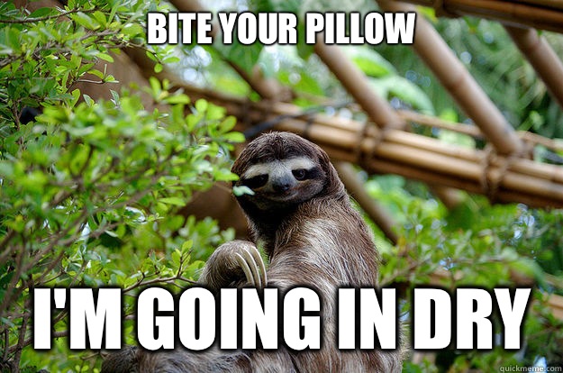 dry - Seductive Sloth - quickmeme