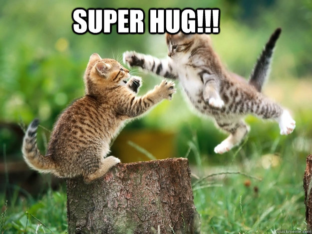 SUPER HUG!!! - cute kittens - quickmeme