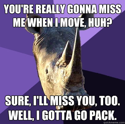 You're really gonna miss me when I move, huh? Sure, I'll miss you, too. Well,  I gotta go pack. - Sexually Oblivious Rhino - quickmeme