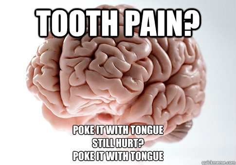 tooth pain? poke it with tongue still hurt? poke it with tongue - Scumbag  Brain - quickmeme