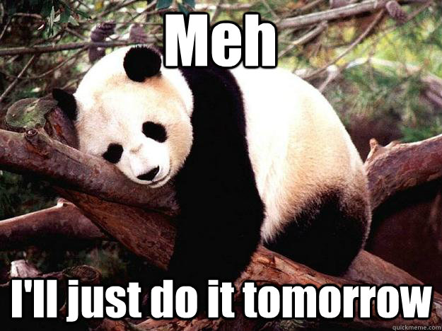 Meh I'll just do it tomorrow - Procrastination Panda - quickmeme