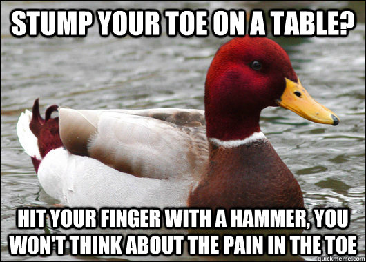 When Your Toe Hits The Table With Images Funny Pictures