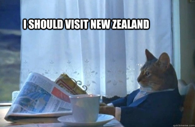 I should visit new Zealand - Sophisticated Cat - quickmeme