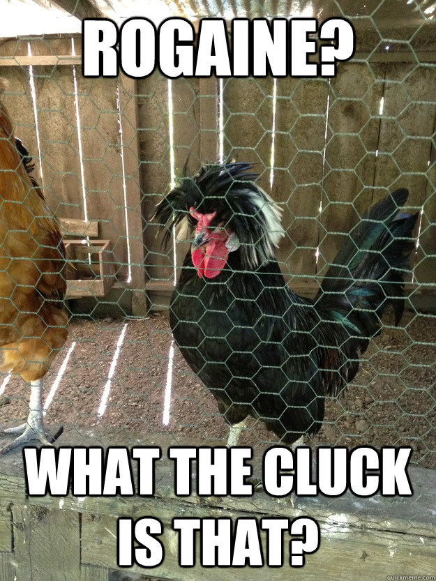rogaine? What the cluck is that? - Good Hair Chicken - quickmeme