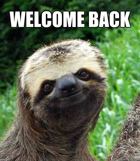 WELCOME BACK - Sloth welcome back - quickmeme