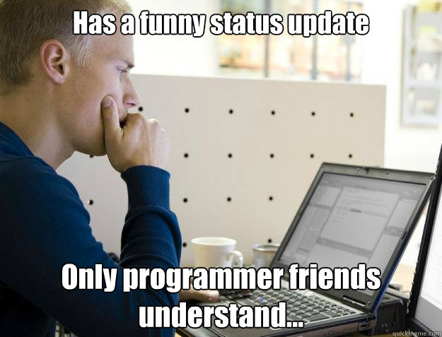 Has a funny status update Only programmer friends understand... -  Programmer - quickmeme