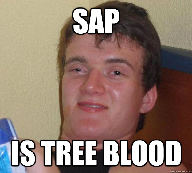 sap is tree blood - 10 Guy - quickmeme