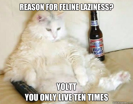 reason for feline laziness? YOLTT You only live ten times - Lazy cat -  quickmeme