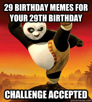 29 Birthday memes for your 29th birthday Challenge Accepted - Kung Fu Panda  Challenge Accepted - quickmeme