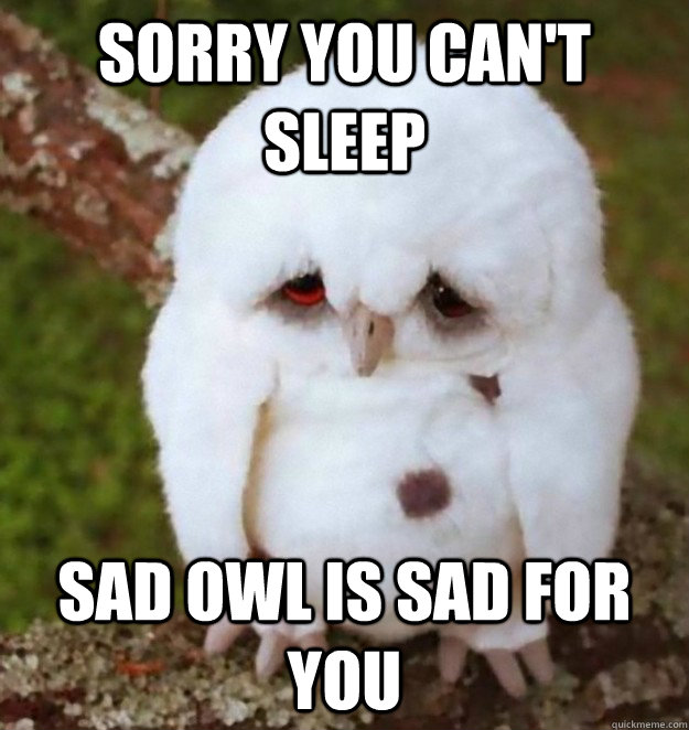 Sorry you can't sleep Sad Owl Is Sad For You - No Sleep Heres Sad Owl -  quickmeme