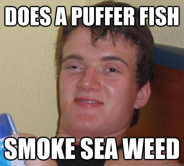 Does a Puffer Fish smoke sea weed - 10 Guy - quickmeme