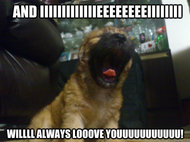 And IIIIIIIIIIIIIEEEEEEEEIIIIIIII WILLLL ALWAYS LOOOVE YOUUUUUUUUUUU! -  Puppy will always love you! - quickmeme