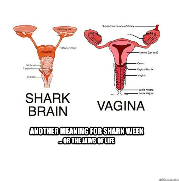 Another meaning for Shark Week ... or the jaws of life - Shark Vagina -  quickmeme