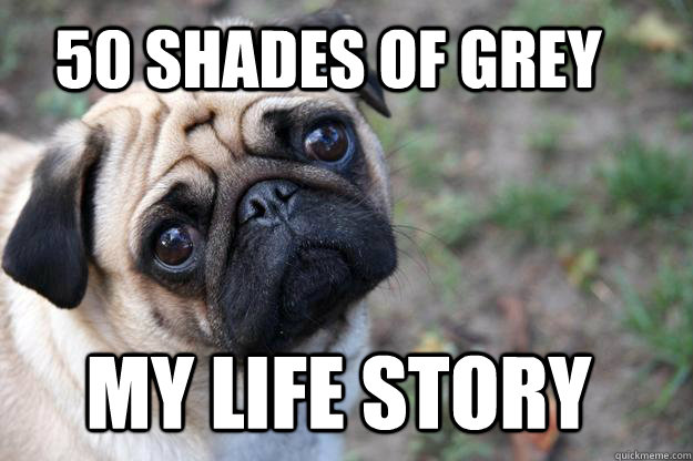 50 ShadEs of Grey My life story - First World Dog problems - quickmeme