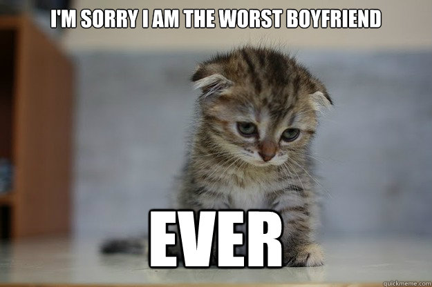 I'm sorry i am the worst boyfriend EVER - Sad Kitten - quickmeme
