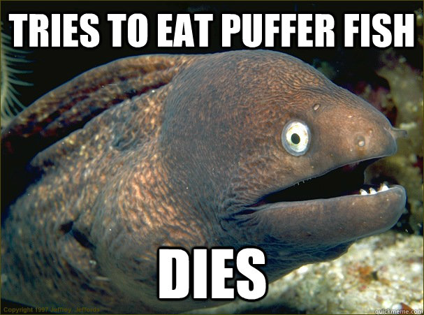 Tries to eat puffer fish Dies - Bad Joke Eel - quickmeme