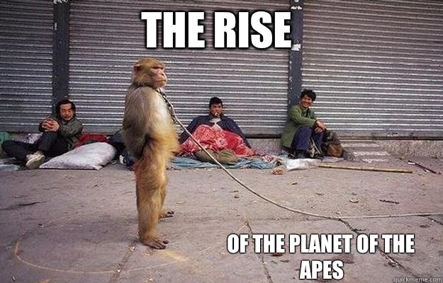 The rise Of the planet of the apes - Superior Monkey - quickmeme