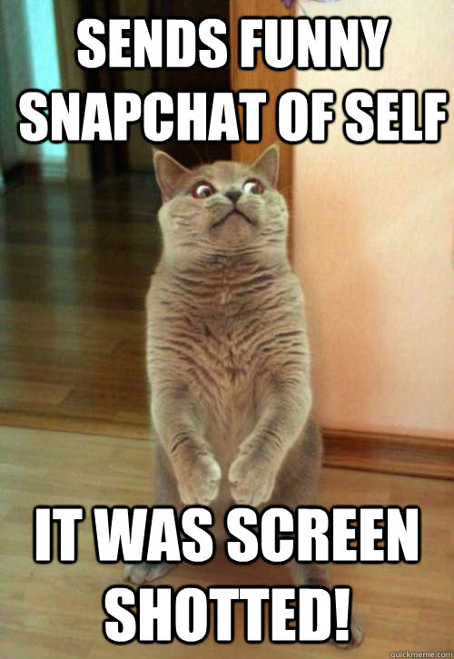 Sends funny snapchat of self it was screen shotted! - Horrorcat - quickmeme