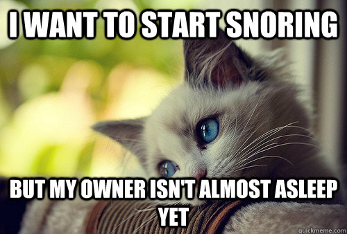 I want to start snoring But my owner isn't almost asleep yet - First World  Cat Problems - quickmeme