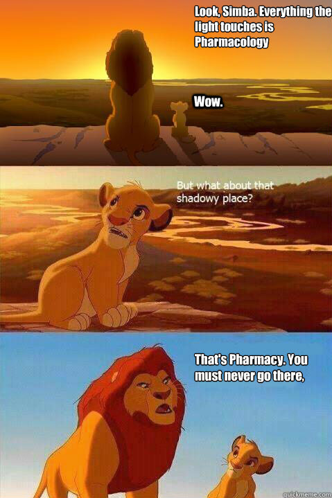Look, Simba. Everything the light touches is Pharmacology Wow. That's  Pharmacy. You must never go there, Simba. - Lion King Shadowy Place -  quickmeme
