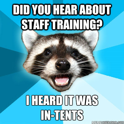Did you hear about staff training? I heard it was in-tents - Lame Pun  Raccoon - quickmeme