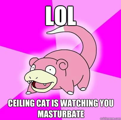 Lol Ceiling Cat Is Watching You Masturbate Slowpoke