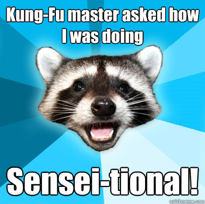 Kung-Fu master asked how I was doing Sensei-tional! - Lame Pun Coon -  quickmeme