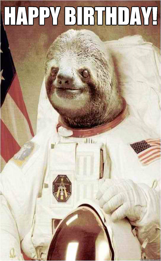 Funny Happy Birthday Sloth Meme - Elesaiu Wallpaper