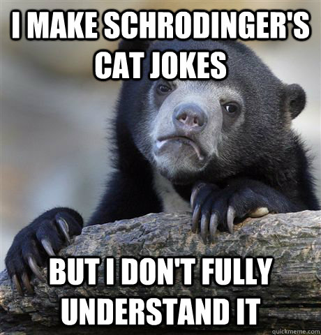 I make Schrodinger's cat jokes But I don't fully understand it - Confession  Bear - quickmeme
