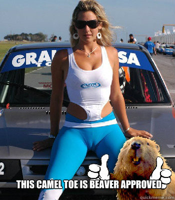This camel toe is beaver approved - camel toe - quickmeme