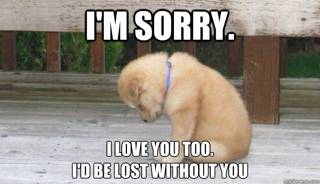 I'm sorry. I love you too. I'd be lost without you - SORRY PUPPY - quickmeme