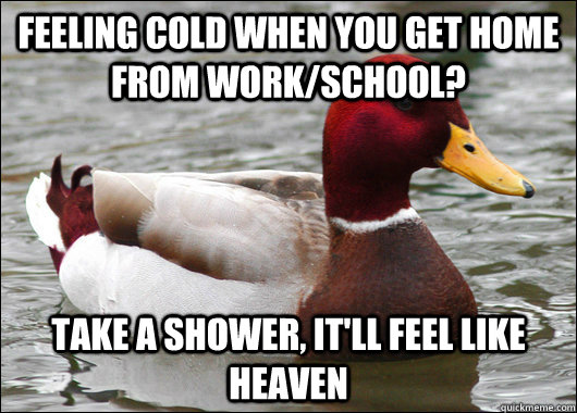 Feeling cold when you get home from work/school? Take a shower, it'll feel like heaven - Malicious Advice Mallard - quickmeme Feeling cold when you get home from work/school? Take a shower, it'll feel like heaven - Malicious Advice Mallard - quickmeme