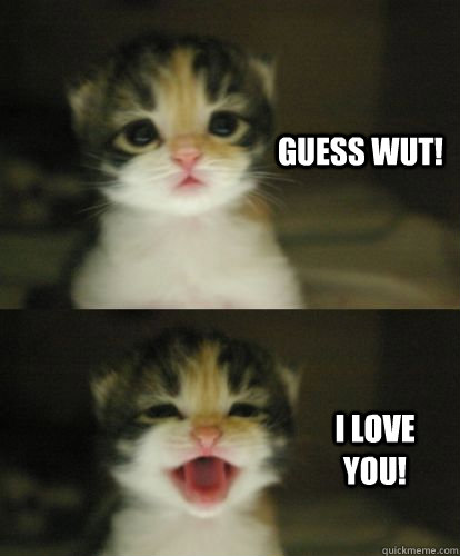 kitty says i love you