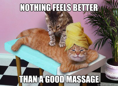 nothing feels better than a good massage - cat massage - quickmeme