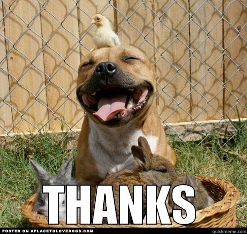 Happy Dog Says Thank You - quickmeme