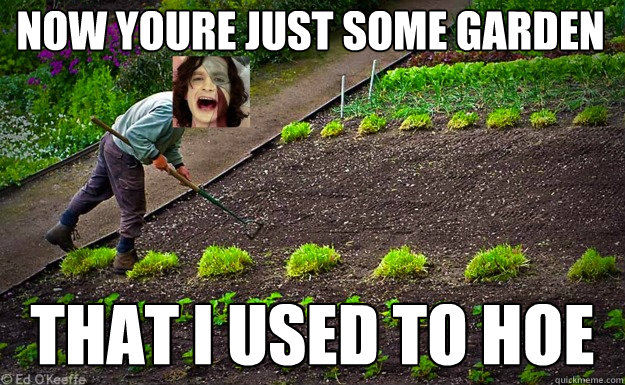 NOW YOURE JUST SOME GARDEN THAT I USED TO HOE - Gotye - quickmeme