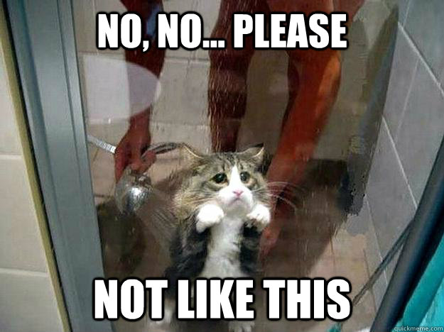 No No Please Not Like This Shower Kitty Quickmeme