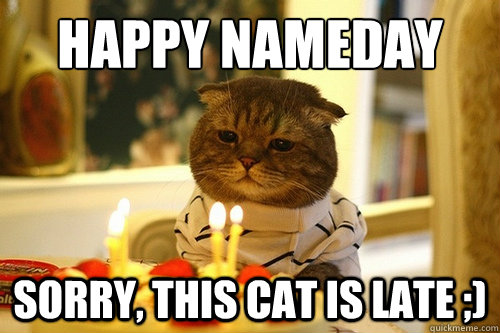 Happy Nameday Sorry, This Cat Is Late ;) - Misc - quickmeme