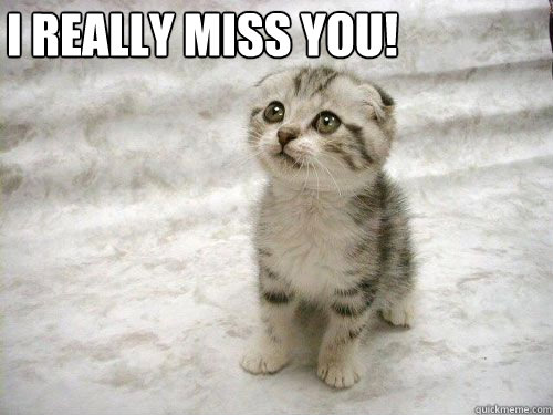 I Really Miss You! - cute kitten - quickmeme